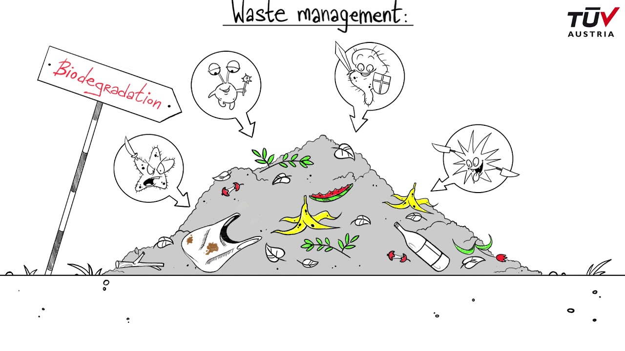 Why environment is key for biodegradation