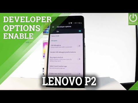 LENOVO P2 DEVELOPER OPTIONS / OEM Unlock / USB Debugging