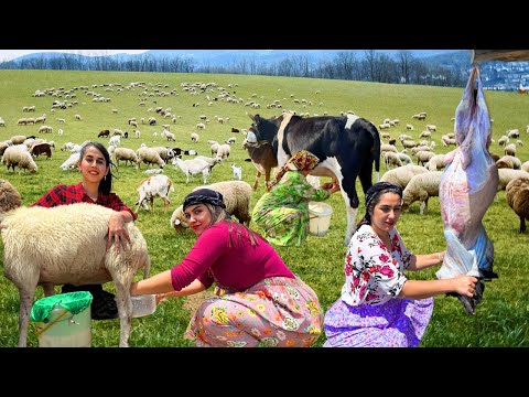 IRAN Nomadic Life : Discover the Simple Beauty of Village Life in the Mountain Dwellers
