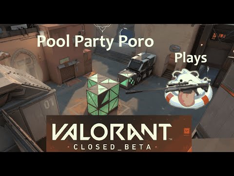 Pool Party Poro attempts to play Valorant