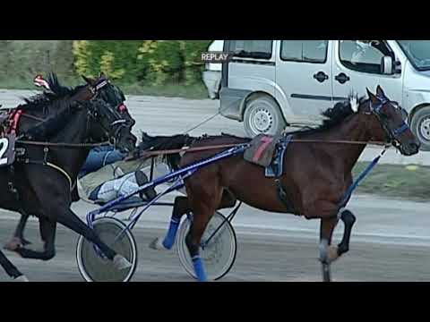 Aversa trotto 26 Settembre 2020 - 7° Corsa