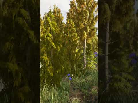 REALISTIC FOREST 3D ANIMATION UNREAL ENGINE 5 #3danimation
