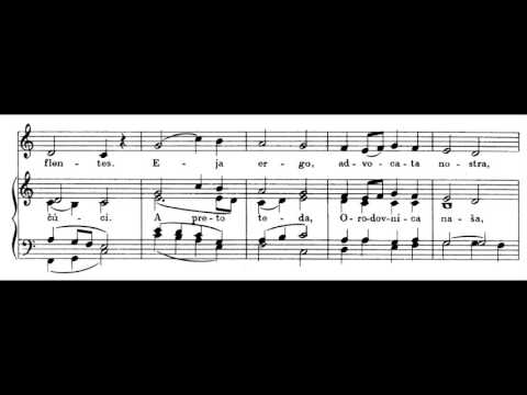 JKS 315 - Salve, Regina - Zdravas´, Kráľovná