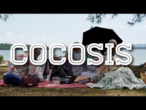 Cocosis Picnic