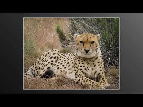 Maribeth Theisen through her lens