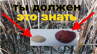 Ссылка