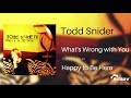 Todd Snider - What's Wrong with You