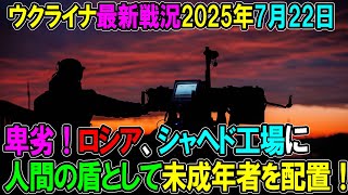 【ウクライナ戦況】25年7月22日。