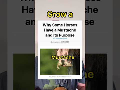 The Most Disturbing Horse Fact - Jordan Keyes