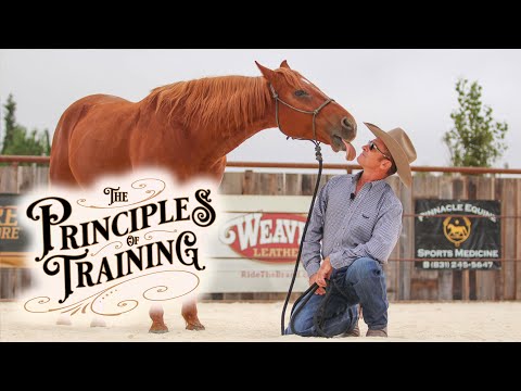 The Principles of Training Season 3 Episode 1: "The Human Factor"