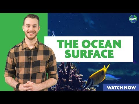 download lagu mp3 mp4 Epipelagic Zone, download mp3 Epipelagic Zone free download mp3, download mp3 Epipelagic Zone