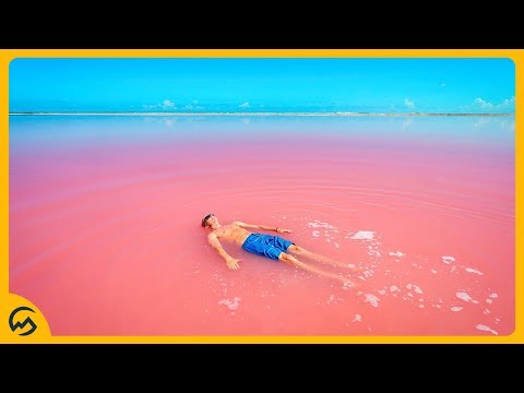 TOP 10 BIZARRE NATURAL PHENOMENA! 😱