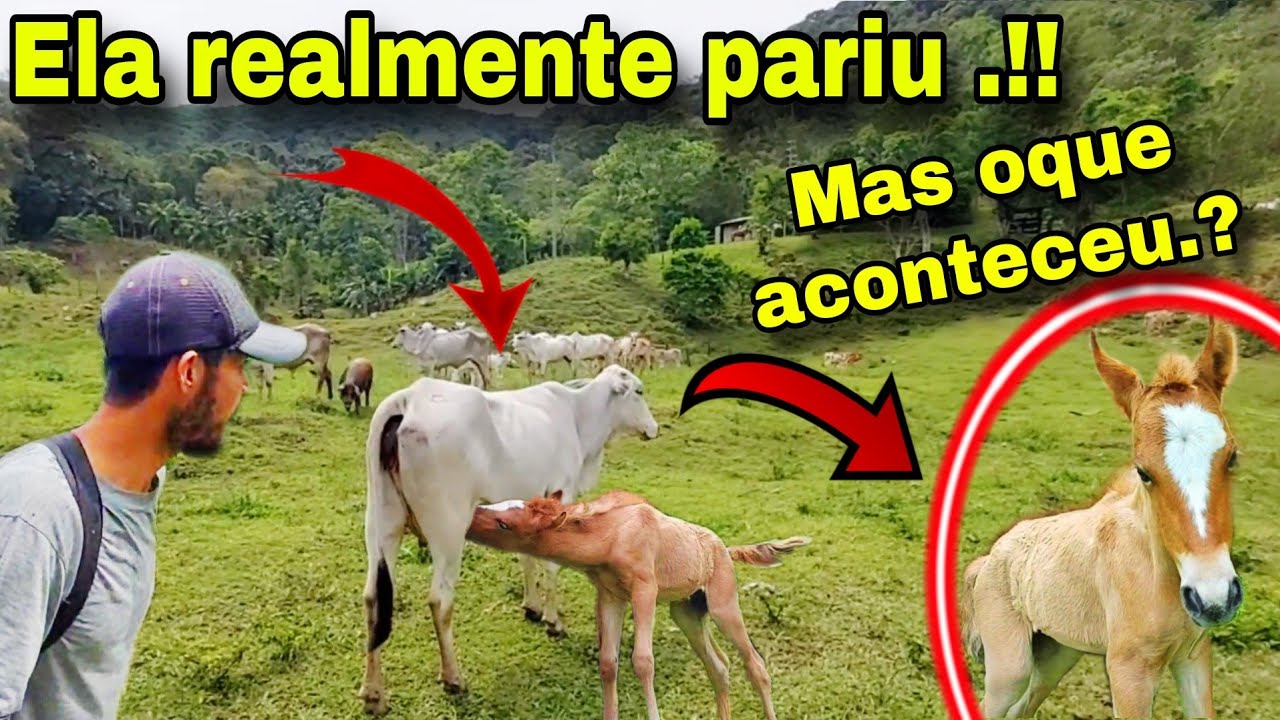 EU NÃO ESPERAVA POR ISSO.!! FOI UMA GRANDE SURPRESA 😱😅😍