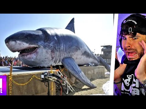 10 Megalodon Sichtungen Aufgenommen Auf Kamera