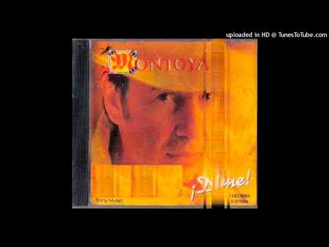 Montoya - Sol Negro
