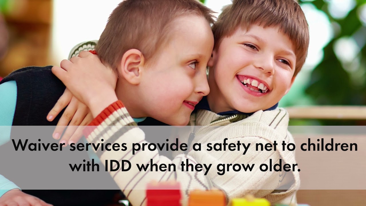 Your Guide to IDD Resources