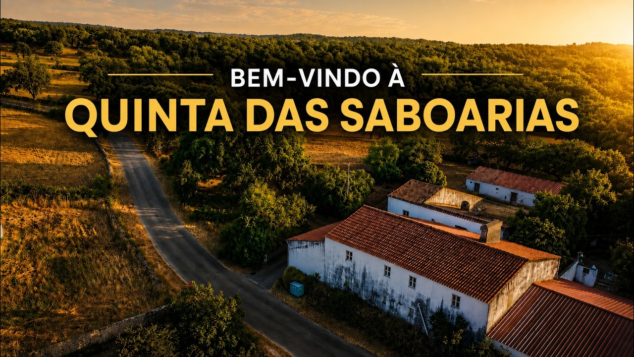 Vídeo do imóvel