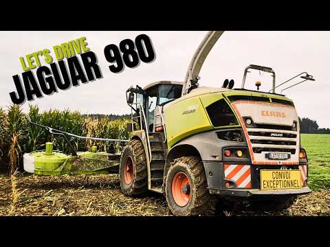 Maismonster! Let's drive Claas Jaguar 980 POV Maishäckseln mit case steyr valtra