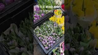 하노이 꽃도매시장 3월31일 밤10시