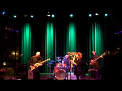 Elliott Sharp / Carbon 03-31-10 Bimhuis 2nd Set Excerpt # 1