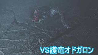 【モンスターハンター：ワイルズ】竜乳の力の源へ　ＶＳ護竜オドガロン亜種