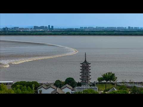 Live: Tide watching along the Qiantang River in east China's Zhejiang Province