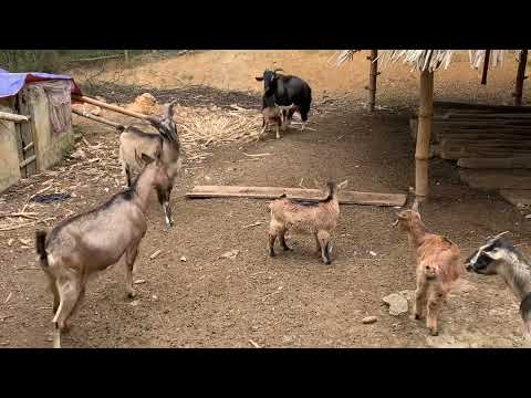 ngày 16 tháng 12, 2022