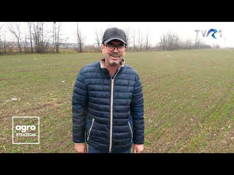 The farmer who set out to modernize a commune