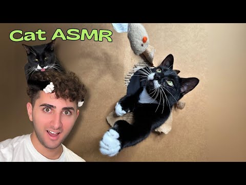My Cat Tried Making ASMR...