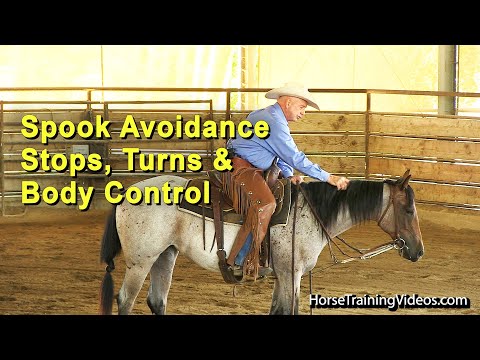 Horse Training - Spook Avoidance - Stops, Turns & Body Control - Foundation Training
