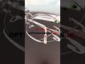 Silhouette Rilmless Eyewear