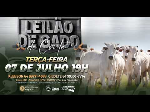 ESTRELA LEILÕES  - AO VIVO - 07/07/2026  -  19H - MORRINHOS - GOIÁS