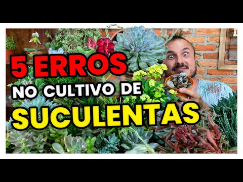 , title : '5 ERROS NO CULTIVO DE SUCULENTAS | APRENDA COMO EVITÁ-LOS'