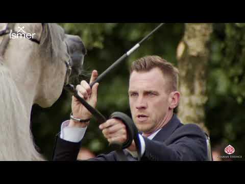 N 126 SHANMARK GK   Strohen 2020 International Show   3 Years Old Fillies Class E