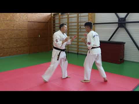 Ashihara Karate 2021,Sensei Liviu Tabacaru-Sabaki Technique-2nd part(partea a 2-a)