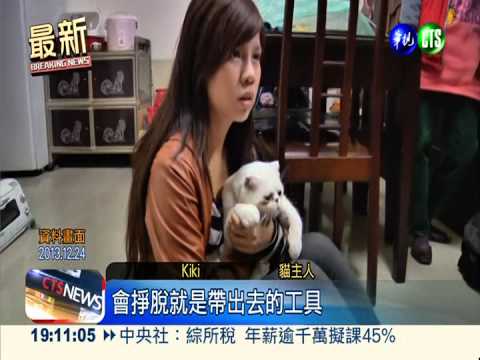 "罐裝貓"道歉! 女大生判服勞役