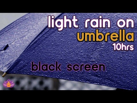 [Black Screen] Light Rain on Umbrella | Rain Ambience No Thunder | Gentle Rain Sounds for Sleep
