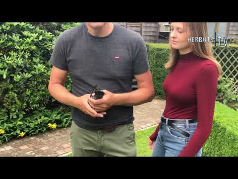 Ceulemans Gunther ( Emblem ) - 1st National Agen 7,360 year birds 2021