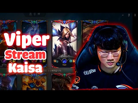 Viper Stream | Pressure of HLE Viper KAISA Destroy Challenger Varus