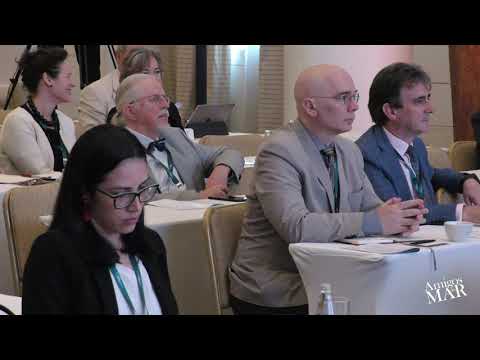 Arbitragem Marítima no Brasil tem muito a crescer por Marcela Suassuna - video subtitles available