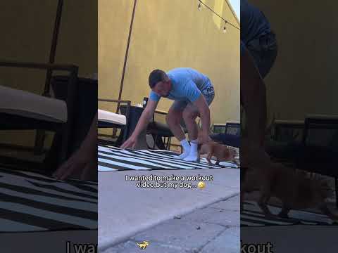 This dog really caught my attention#fyp #dog #dogs #doglover #dogsoftiktok