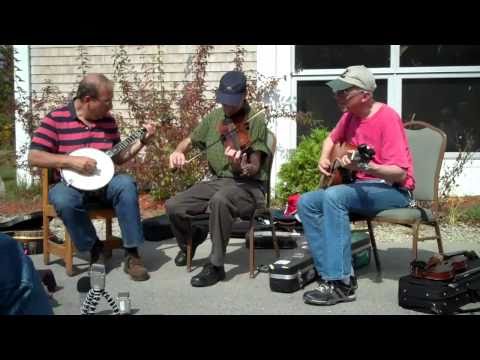 Steve Arkin, Paul Brown, Alan Kaufman