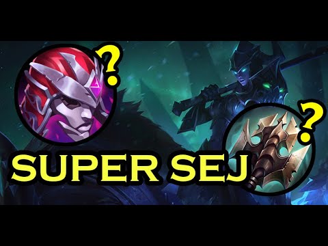 The SUPER SEJ build | 43K + Damage Hybrid/Bruiser