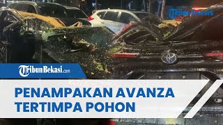 PENAMPAKAN Mobil Avanza Tertimpa Pohon Tumbang di Dharmawangsa, Sebabkan 1 Orang Meninggal Dunia