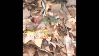 My Little Suede Shoes