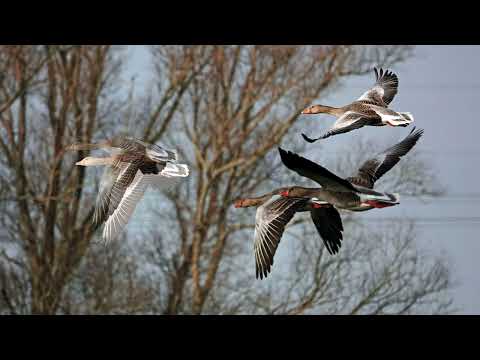 Silence in me ‐ Toine & friends 2023