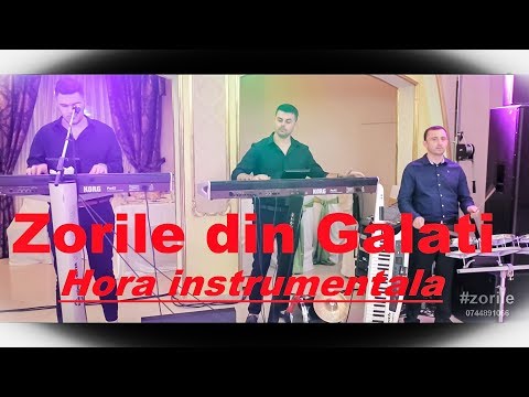 Zorile din Galati - Hora instrumentala #2018