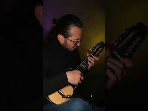 Pando - Kjarkas