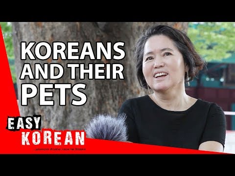 ペットを飼っていますか？| ペットを飼っていますか？ (Do you have a pet? | Easy Korean 24)