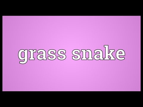 Grass snake Meaning
